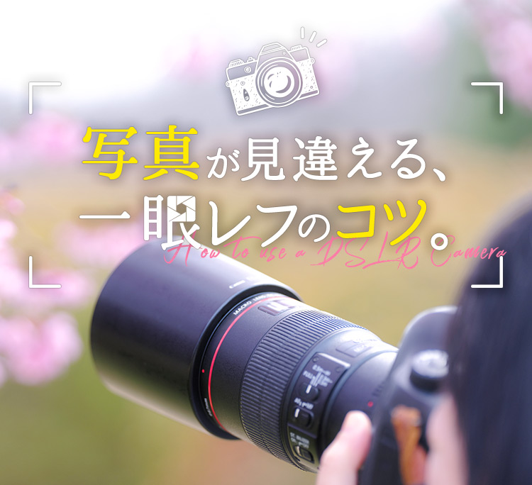 写真が見違える、一眼レフのコツ。How to use a DSLR Camera