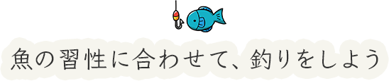 魚の習性に合わせて、釣りをしよう