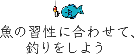 魚の習性に合わせて、釣りをしよう