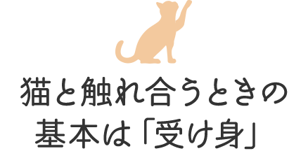 猫と触れ合うときの基本は「受け身」