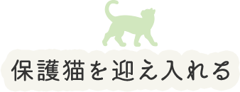 保護猫を迎え入れる
