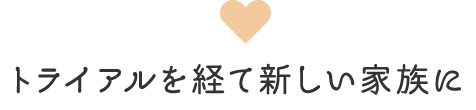 トライアルを経て新しい家族に