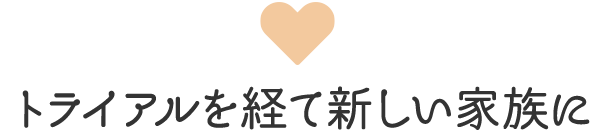 トライアルを経て新しい家族に