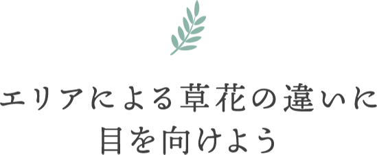 エリアによる草花の違いに目を向けよう
