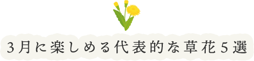 3月に楽しめる代表的な草花5選