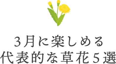 3月に楽しめる代表的な草花5選