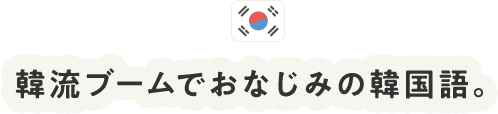 韓流ブームでおなじみの韓国語。