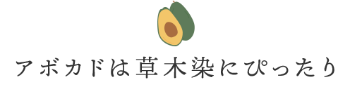 アボカドは草木染にぴったり