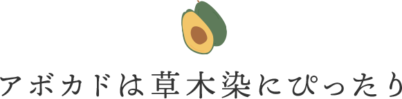 アボカドは草木染にぴったり