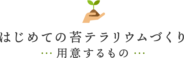 はじめての苔テラリウムづくり~用意するもの~