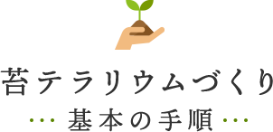 苔テラリウムづくり~基本の手順~