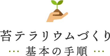 苔テラリウムづくり~基本の手順~