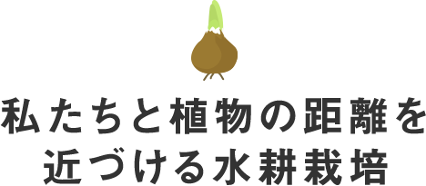 私たちと植物の距離を近づける水耕栽培