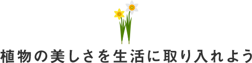 植物の美しさを生活に取り入れよう