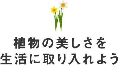 植物の美しさを生活に取り入れよう