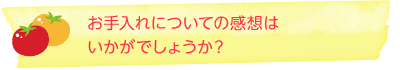 お手入れについての感想はいかがでしょうか？