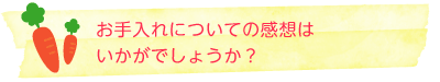 お手入れについての感想はいかがでしょうか？