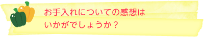 お手入れについての感想はいかがでしょうか？