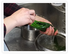 画像：茹であがったほうれん草、手元での拡大写真