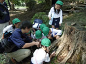 自然の循環を学ぶ　写真1