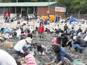 海の生き物を観察する　写真2