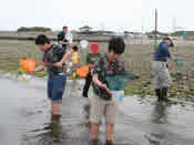 海の生き物を観察する　写真3