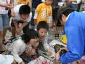 海の生き物を観察する　写真4