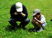 春の野原を観察する　写真2