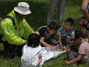 春の野原を観察する　写真3