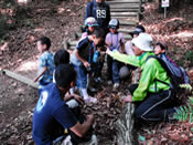 春の野原を観察する　写真4