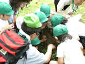 自然の循環を学ぶ　写真3