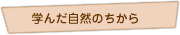 学んだ自然のちから