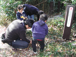 ���C�Ȃ��U���������R�ώ@�̕��