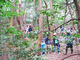 �H�̗ѓ��ł̎U���͑u�����̂���