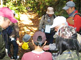 �X�уC���X�g���N�^�[����̘b�𕷂��āA���R���l����B