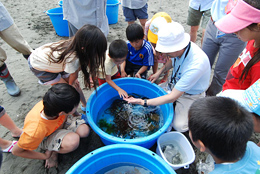 ���߂Č��鋛����������