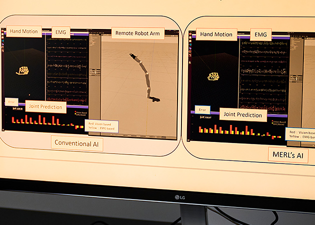 Connectivity & Information Processing