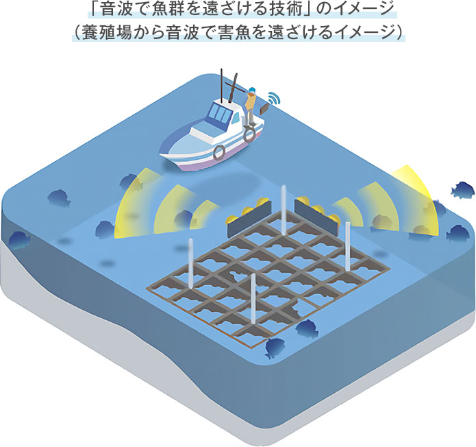 「音波で魚群を遠ざける技術」のイメージ（養殖場から音波で害魚を遠ざけるイメージ）
