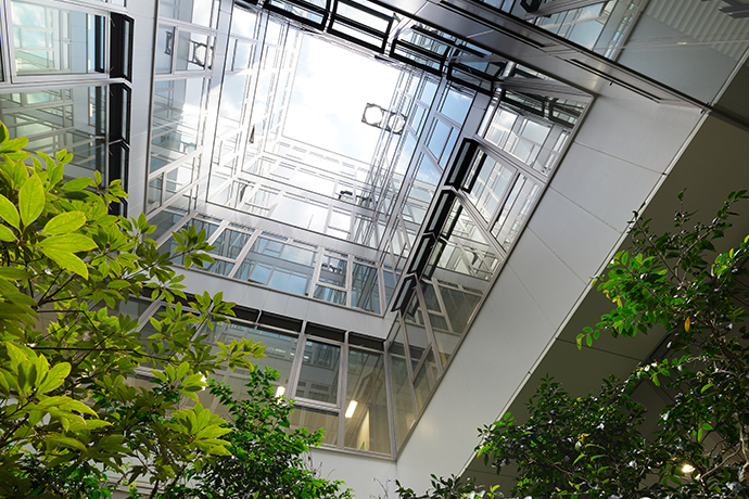 太陽光の集光システム