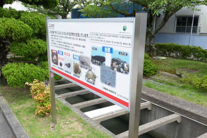 構内の水路は大村湾とつながっており、絶滅が危惧される貝や、干潟に生息するカニなども見つかる