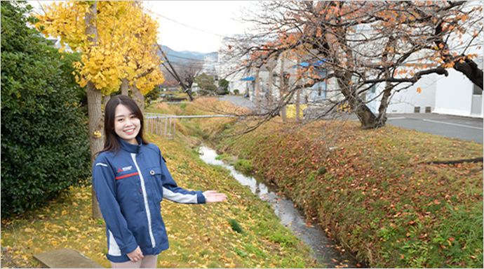 旧松本川を引き込んだ水路には多様な動植物が育つの写真