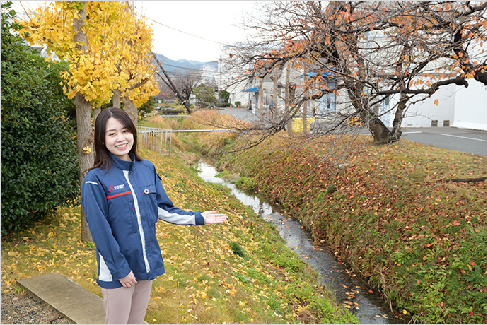 旧松本川を引き込んだ水路には多様な動植物が育つの写真