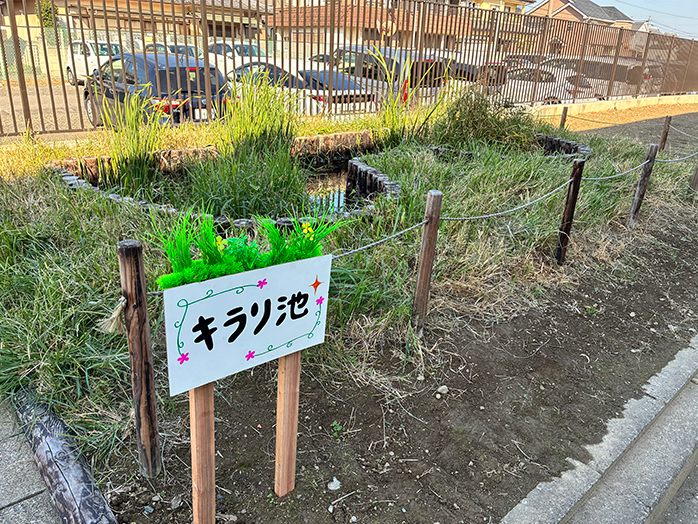 新たに造成したビオトープ