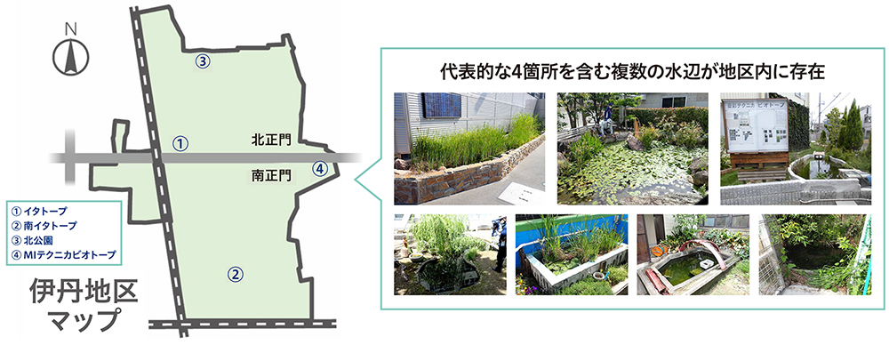 伊丹地区内の水辺