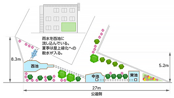 3つの池がつながったビオトープの全体像