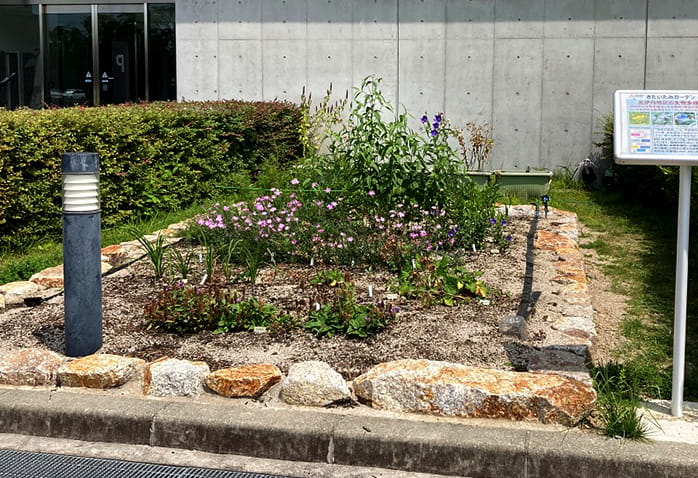 造成当時のきたいたみガーデン