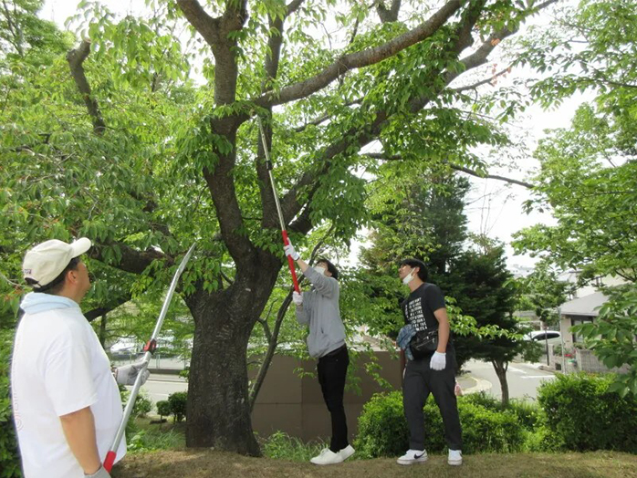 瑞ケ池公園の桜を育てる会での活動の様子