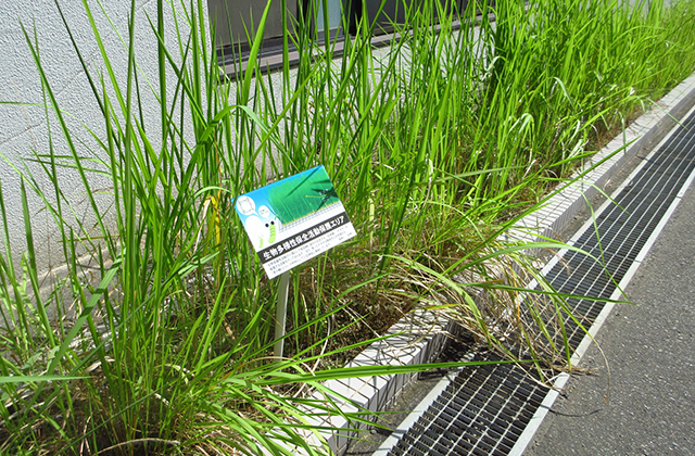 2つの保護エリアに看板を設け、従業員に活動の意義を周知