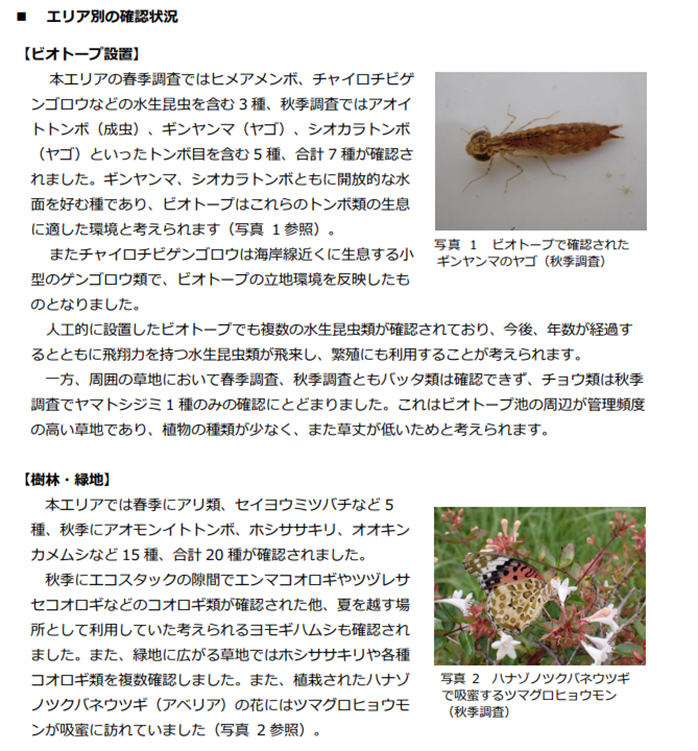 2023年度の調査結果報告（抜粋）