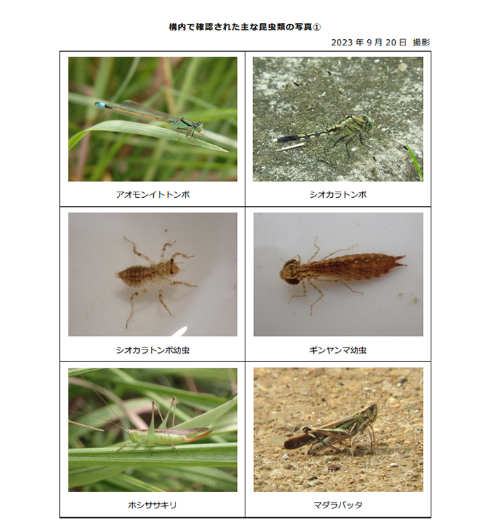 2023年度の調査結果報告（抜粋）